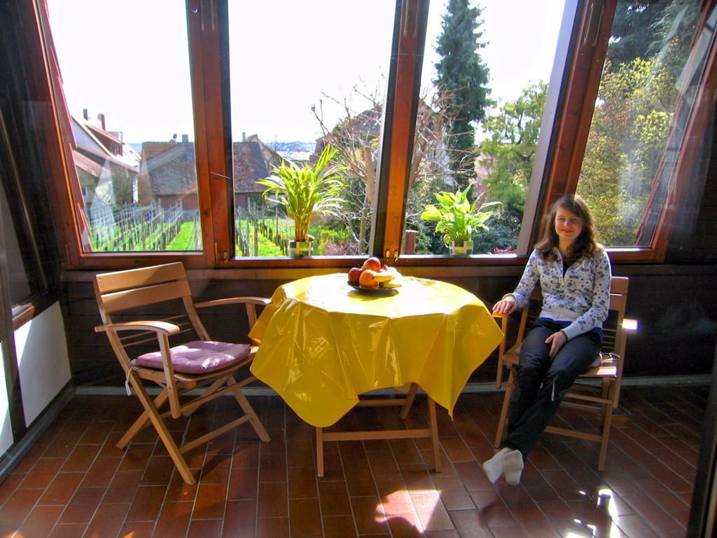 Haus Gnaedinger Apartment Hagnau Exterior photo